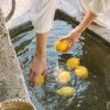 🍋