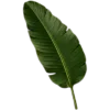 🥥