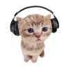 🎧