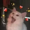 😍