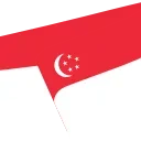 🇸🇬