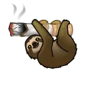 🦥