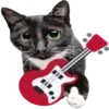 🎸
