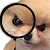 🔎