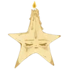 🌟