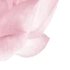 🌸