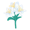 🌸