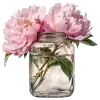 🌸