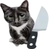 🔪