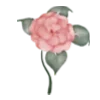 🌹