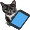 📱