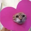 ❤️
