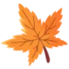 🍁