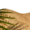 🥥