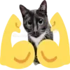 💪