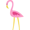 🦩