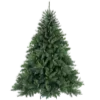 🌲