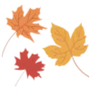 🍁