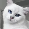 🙄