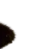 🤩
