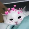 😍