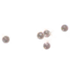 🐚