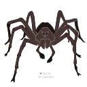 🕷