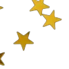 🌟