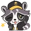🦝