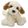 🐶
