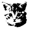 🐱