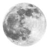 🌑
