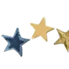 🌟