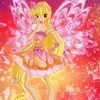 🌟