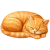 🐈