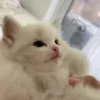 💋