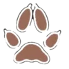 🐈‍⬛