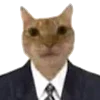 👩‍💼
