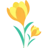 🌼