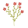 🌷