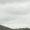 ⭐️