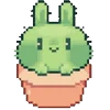 🌵
