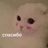 🥰