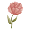🌹
