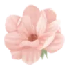 🌸