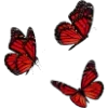 🦋