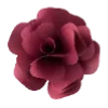 🌺