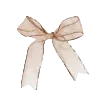 🎀