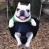 😛