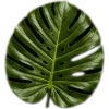 🥥